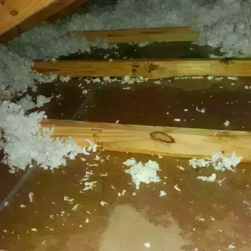 Attic Water Damage in Milford, MI