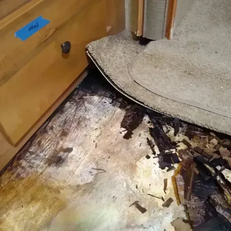 Wood Floor Water Damage in Milford, MI